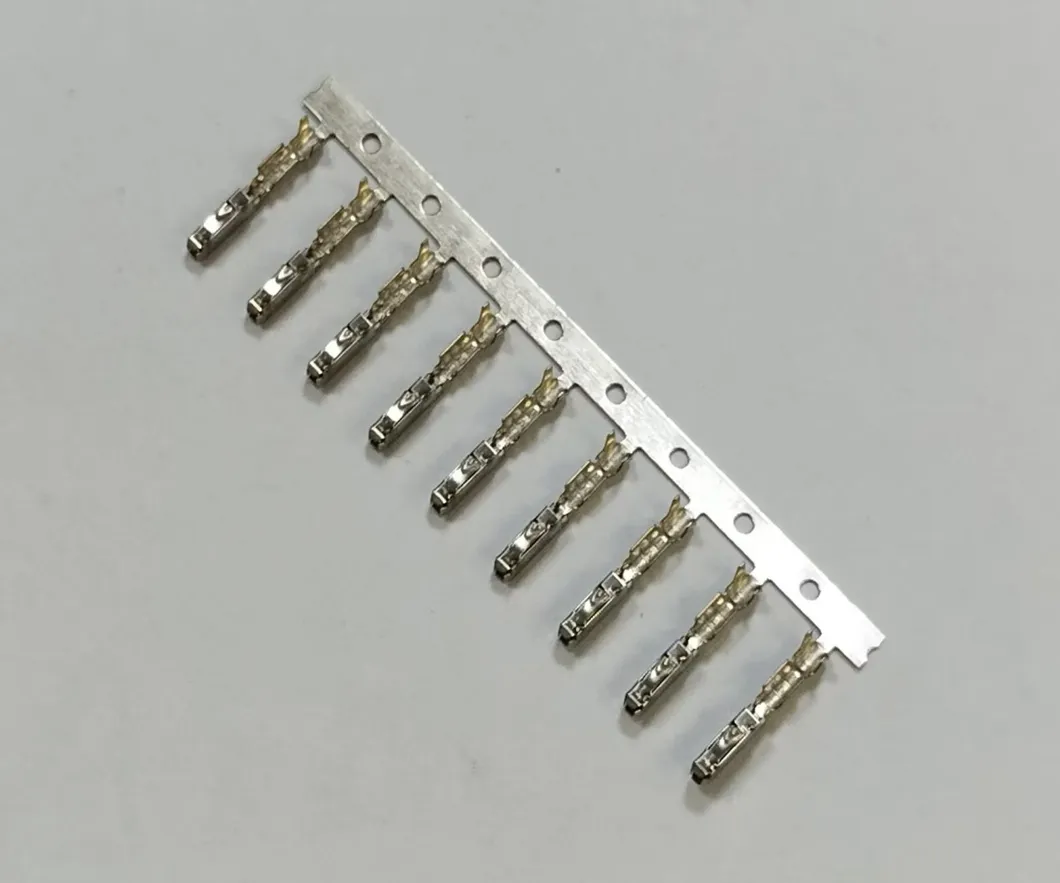 EV Battery Terminals