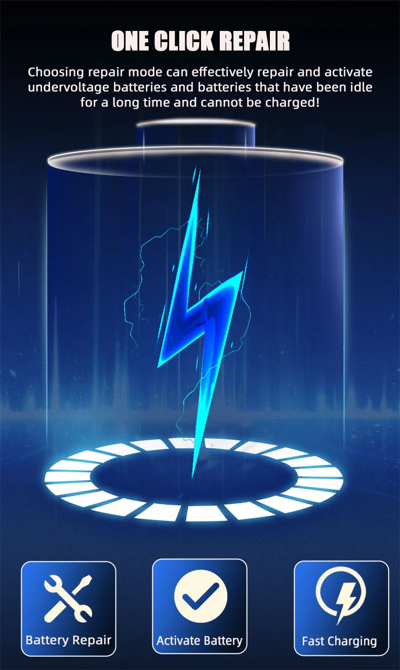 Battery Charger Detail 5