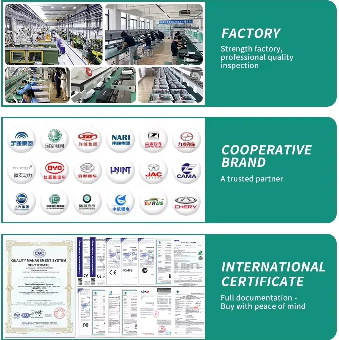 Company Introduction