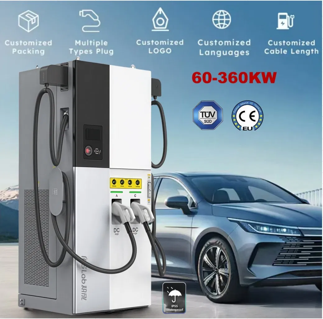 Customized Dual Port Photovoltaic Solar Energy Storage DC EV Electric Car/Vehicle/Battery Charging Station