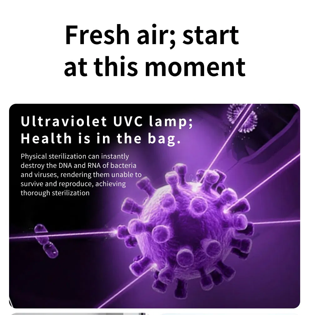 Backup Power Air Purification System for Emergencies 300 Cadr