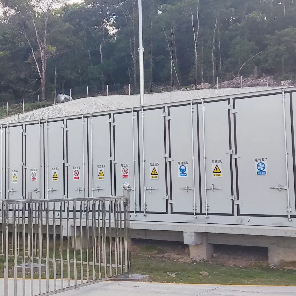 Customized Design of Secondary Frequency Regulation Energy Storage Equipment for Thermal Power Plants, Lithium-Ion Energy Storage System, Photovoltaic Solar Ene