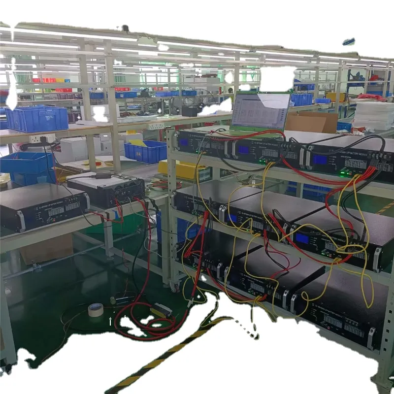 Lithium Ion Battery Module