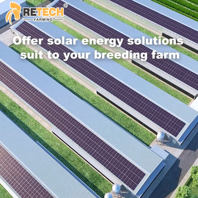 Solar Photovoltaic Energy Conversion System Panel Installed on the Ground Solar Power Inverter off Grid Roof for Chicken Farm