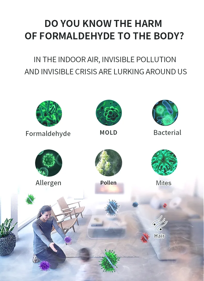 Emergency Power Air Purifier