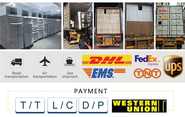 Payment and Delivery Methods