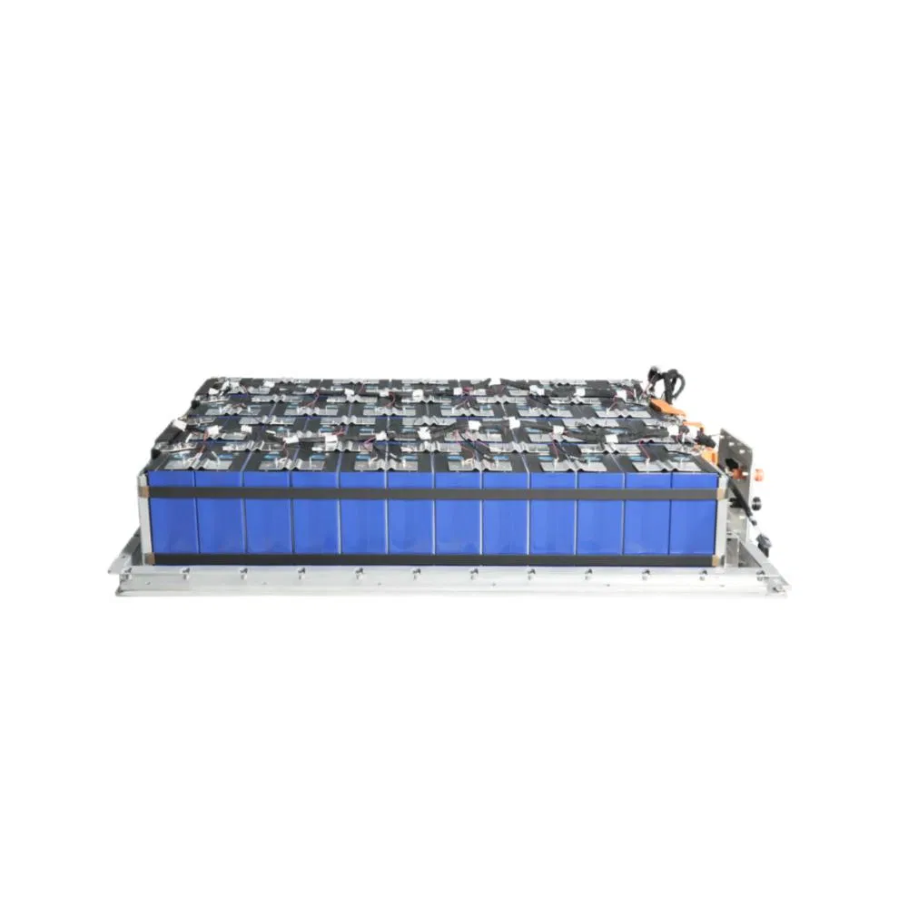 Customized LiFePO4 Container Energy Storage Battery Module CCS System 8s 12s 24s Lithium Iron Phosphate 24V 36V 72V with FPC PCB Wiring Harness CCS