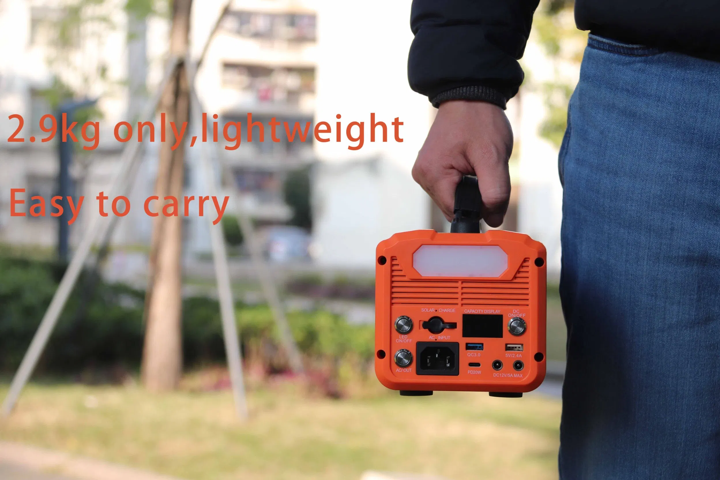 110V/220V Pure Sine Wave AC Portable Power Station 300W Lithium Battery Solar Generator for Outdoors Camping