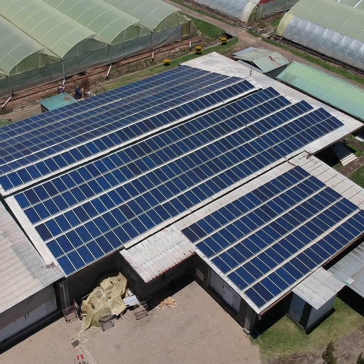 Custom 1kw Solar Charge 2000W Home Power 300W 3kw Portable Generator Power Station Solar Panel System