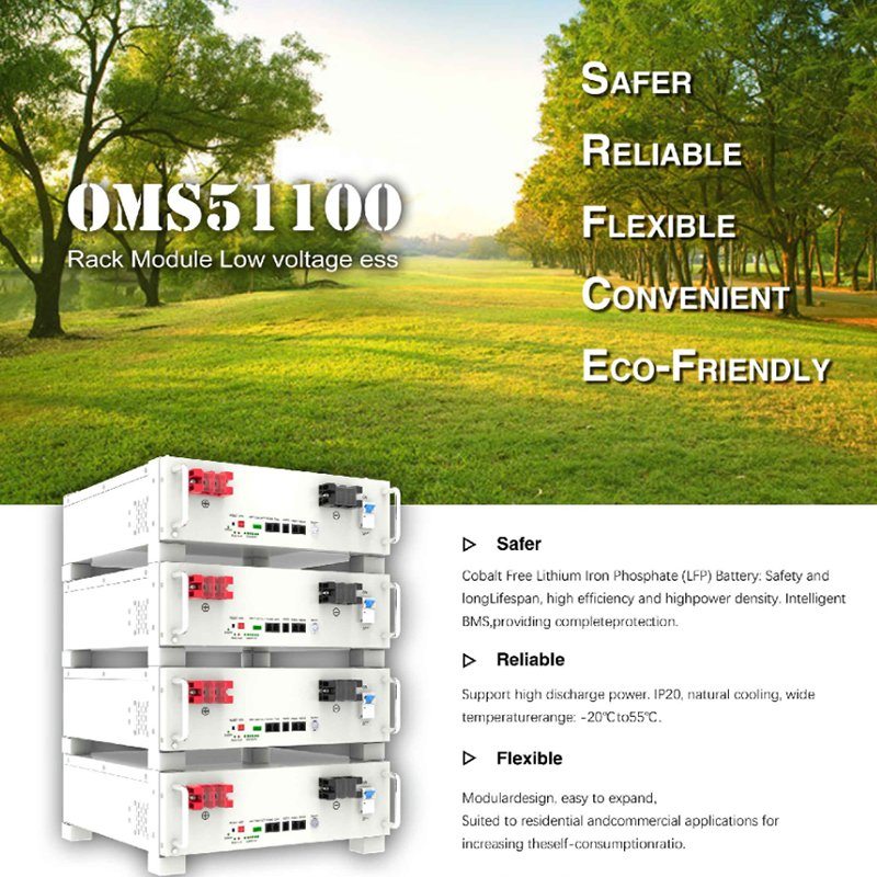 Oms51100 Battery Module for Energy Storage with LiFePO4 Chemistry