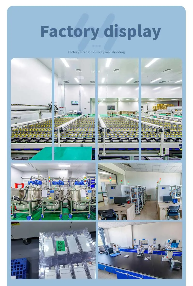 Energy Storage Module