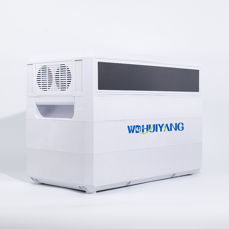 Welldone Battery 12V Lithium Auto Battery Ecoflow Lithium Ess Home Storage System