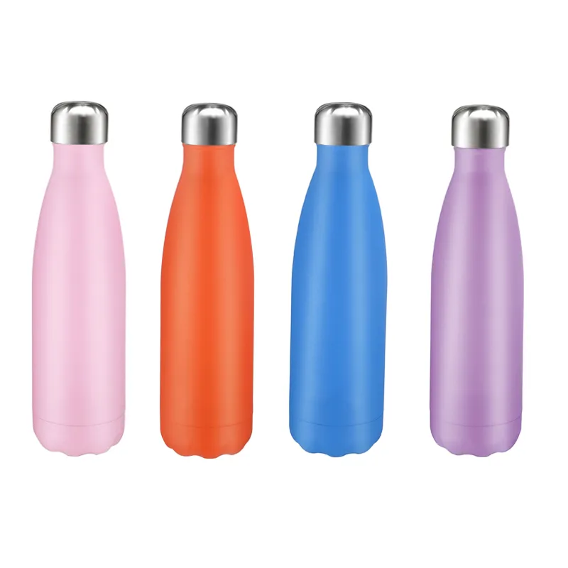 Insulated Water Bottle