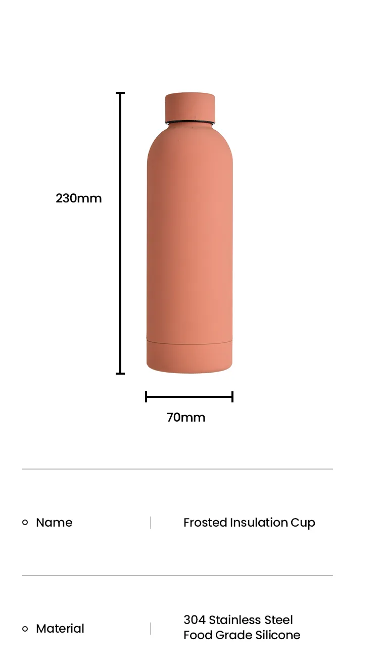 Thermo Flask View 6
