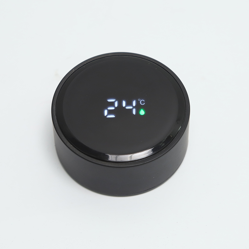 Wide Mouth Borosilicate Double Wall Glass Water Bottle with Tea Infuser