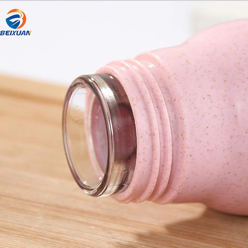 300ml Wholesale Stock Multi-Colored Creative Eco-Friendly Outside Wheat Straw Inner Glass Double Wall Water Bottle