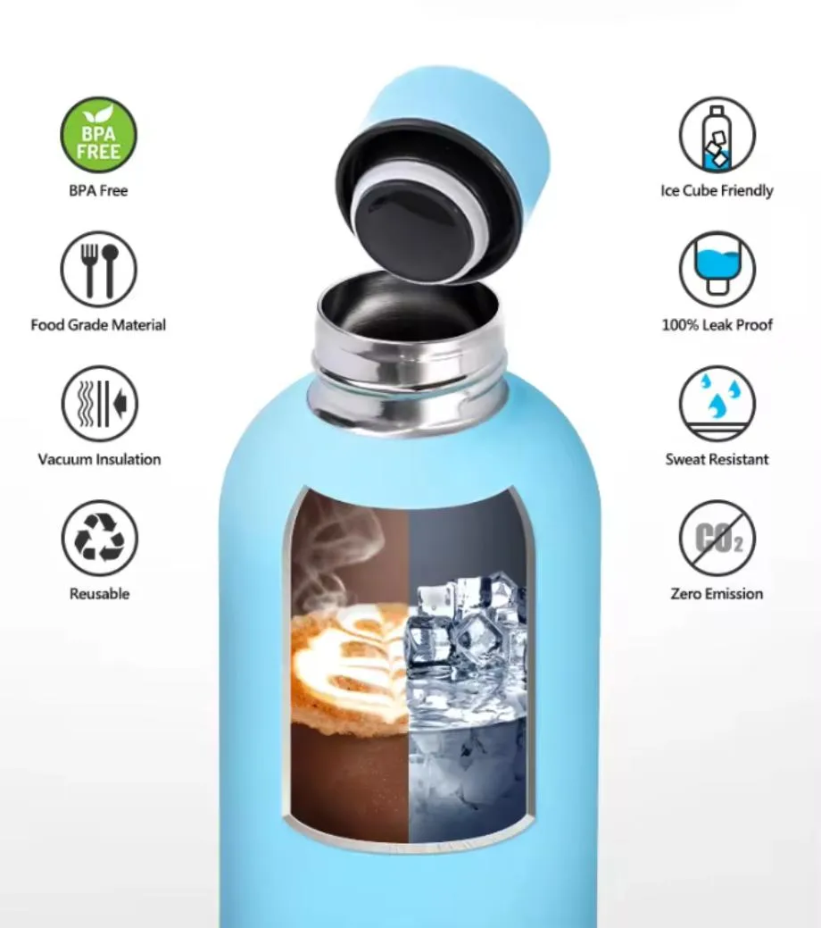 Stainless Steel Bottle