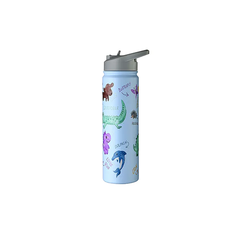 Sports Water Bottle