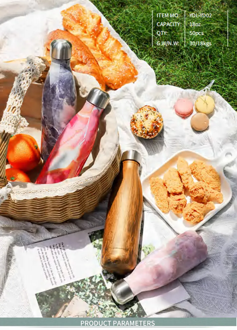 Vacuum Insulated Stainless Steel Water Bottle