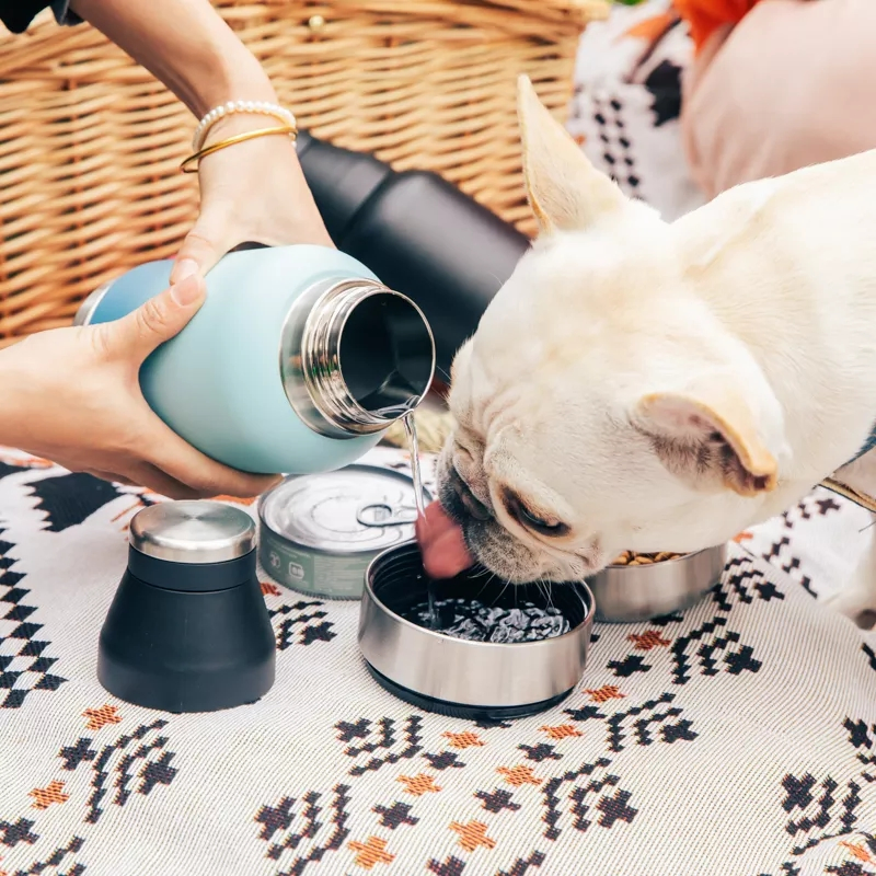 Factory Price Pet Supplier Custom Logo Insulated 32 Oz 64 Oz Travel Walking Portable 3 in 1 Stainless Steel Pet Dog Feeder Water Bottles