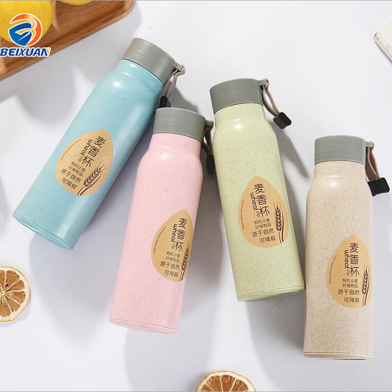 300ml Wholesale Stock Multi-Colored Creative Eco-Friendly Outside Wheat Straw Inner Glass Double Wall Water Bottle