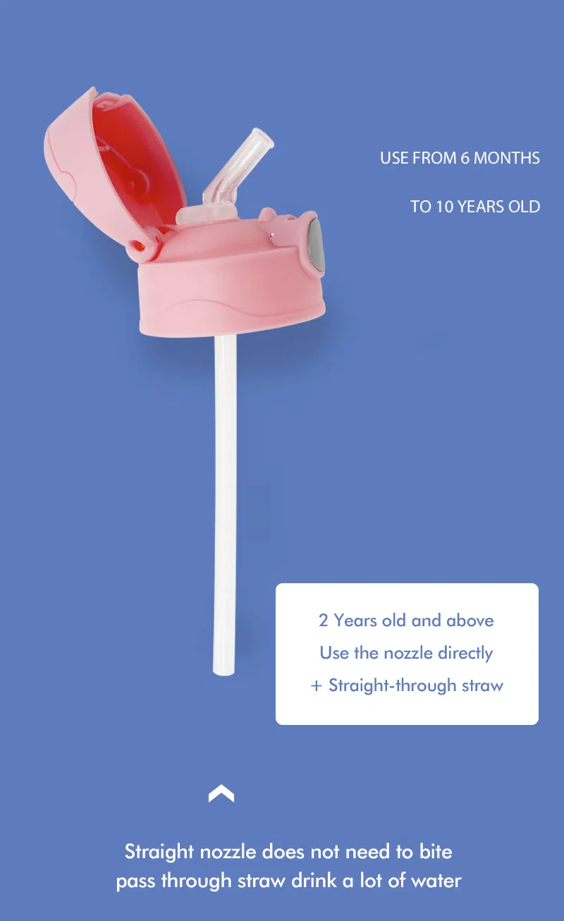 Vacuum Water Bottle with Flip Lid