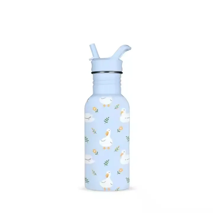 Insulated Stainless Steel Water Bottle 3