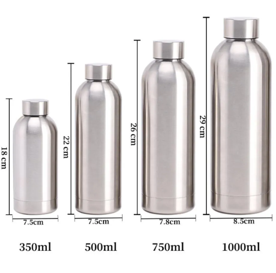 Insulated Water Bottle