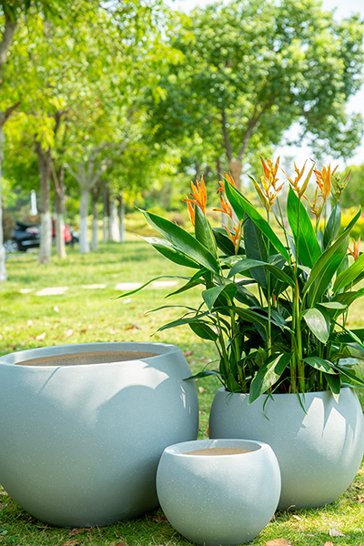 Fiber Clay Flowerpot