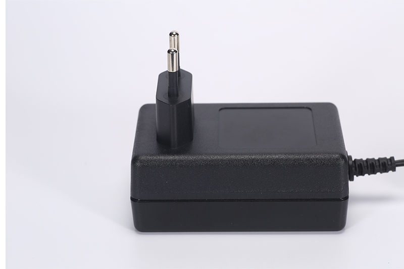 DYS824 24W Power Adapter