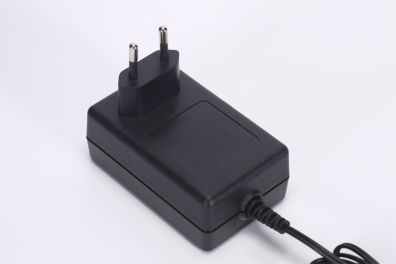 DYS816 18W Power Adapter