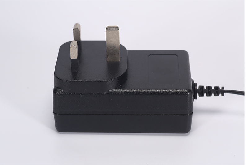 DYS818 18W Power Adapter