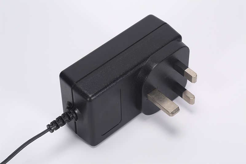 DYS830 30W Power Adapter