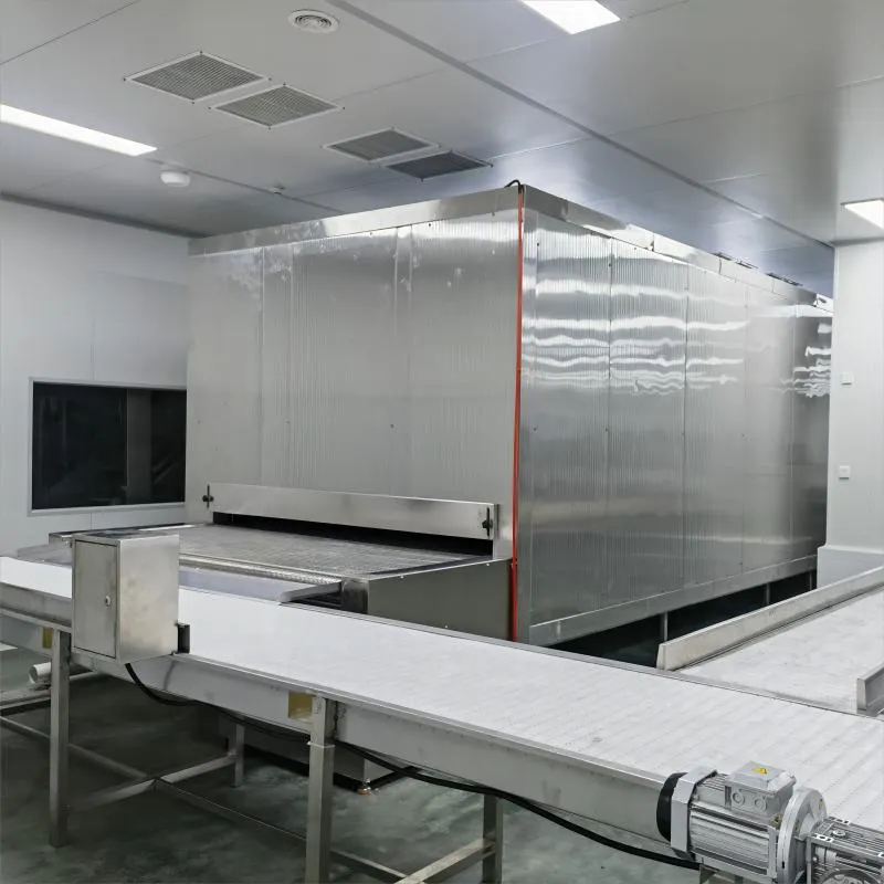 Tunnel Freezer Design