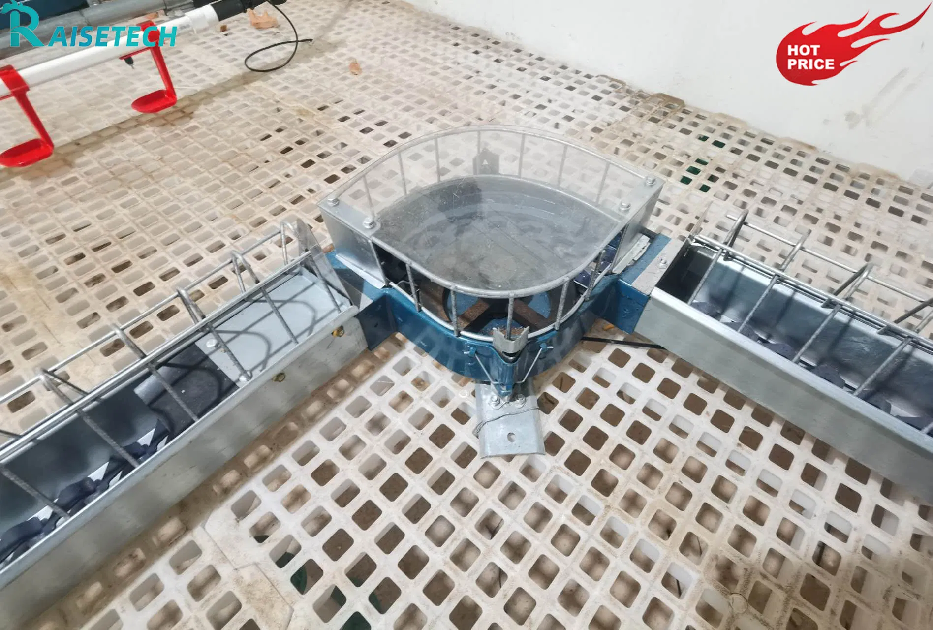 CE Certified Chain Feeding for Chickens with 24-Month After-Sale Support