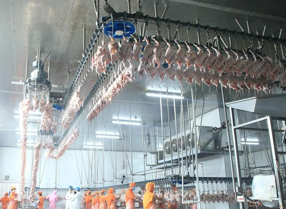 Slaughtering Process View 1