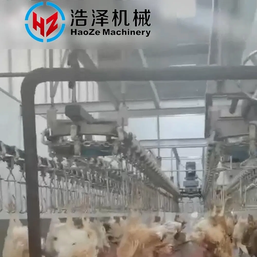 Special Chain Buckle for Poultry Slaughtering Line