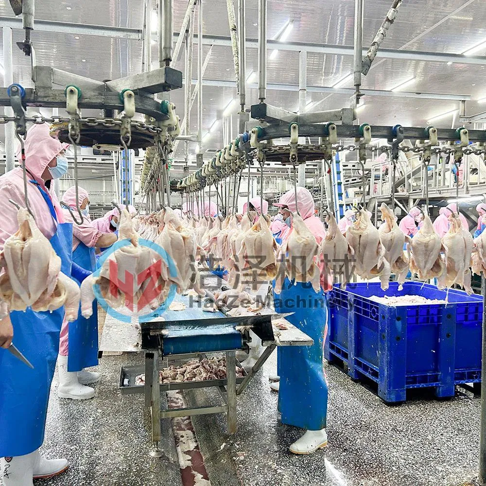 300-500 Per Hour Chicken Slaughtering Equipment for Small Abattoir