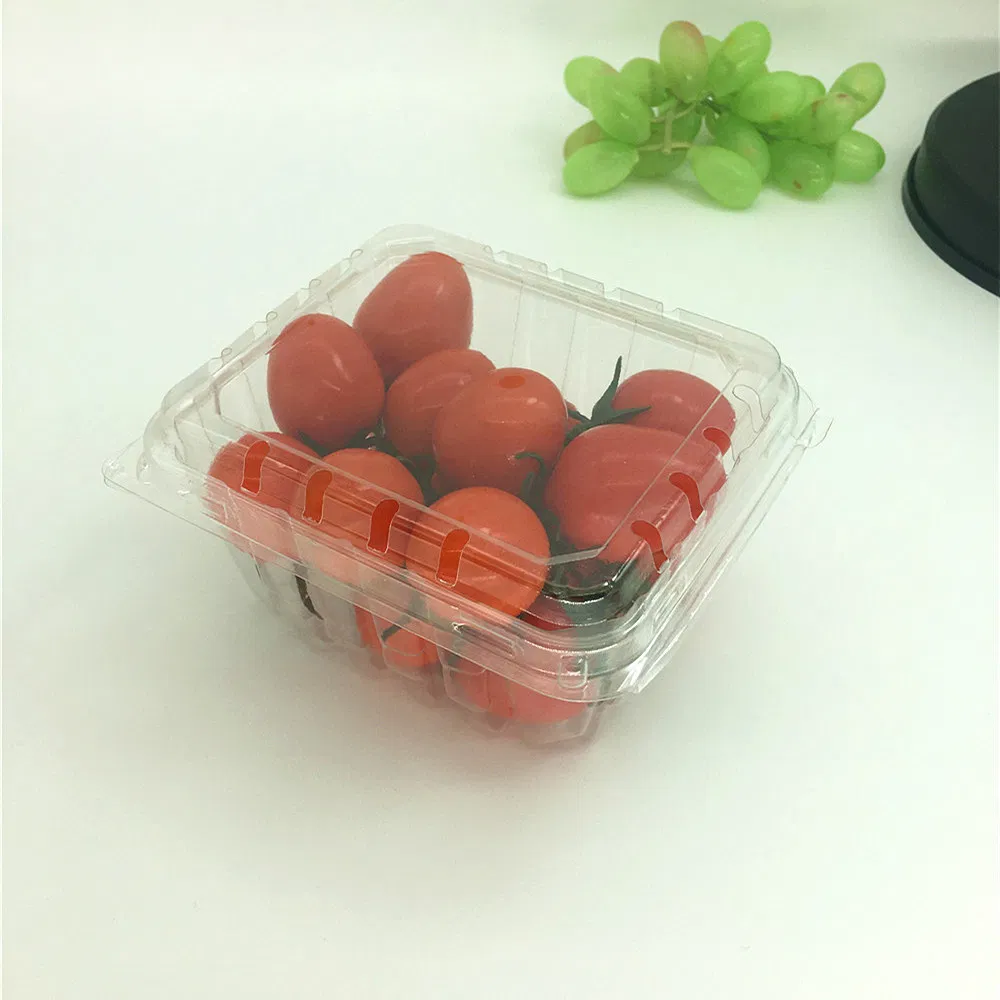 Fruit Packing Solution
