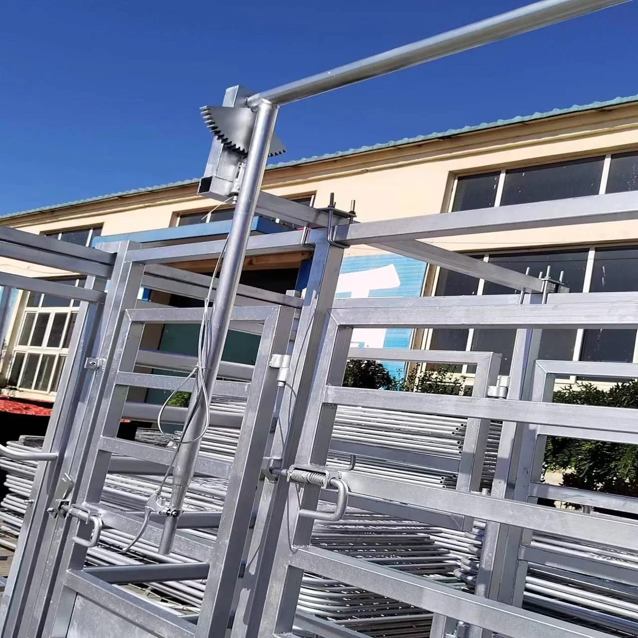 Shengxiang Factory Outlet Hot Selling Good Quality Manual Wrench Cattle Crush Galvanized Cattle Squeeze Crush Cattle Handling Equipment with Weighing System