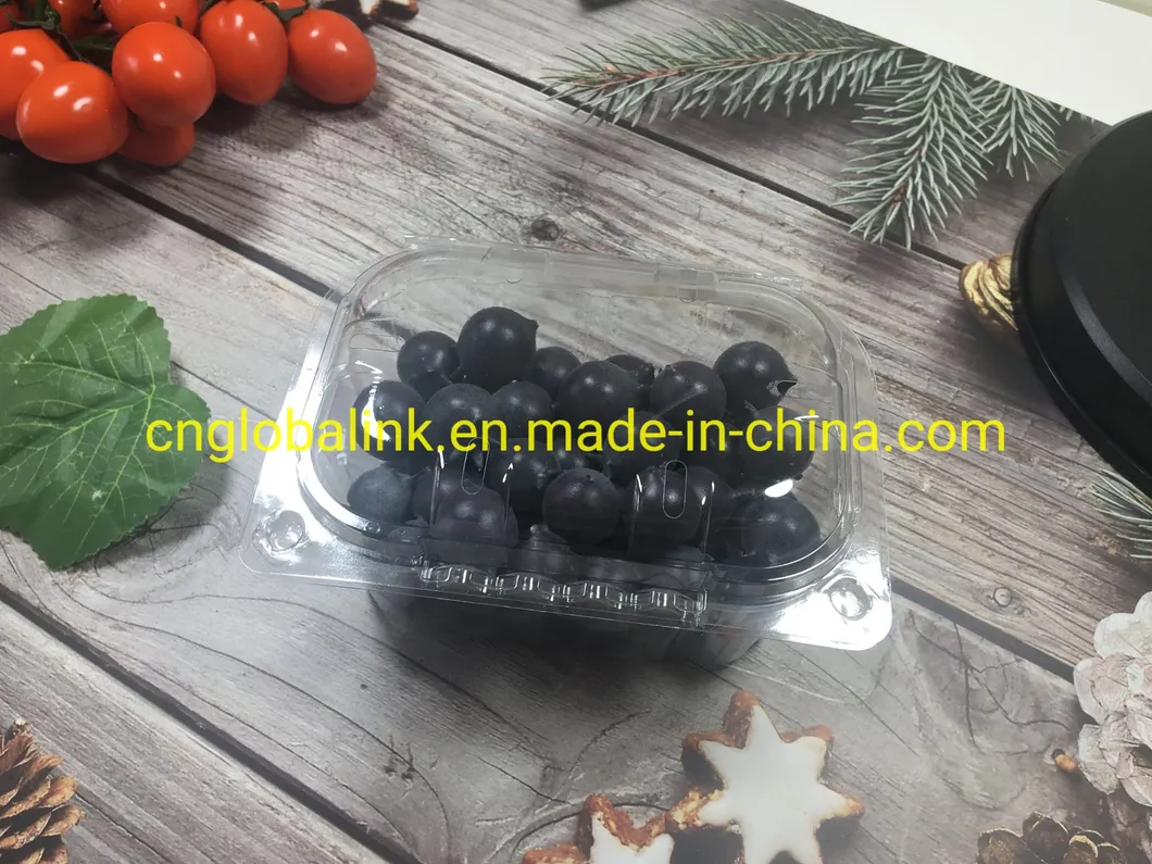 Plastic Packaging Containers