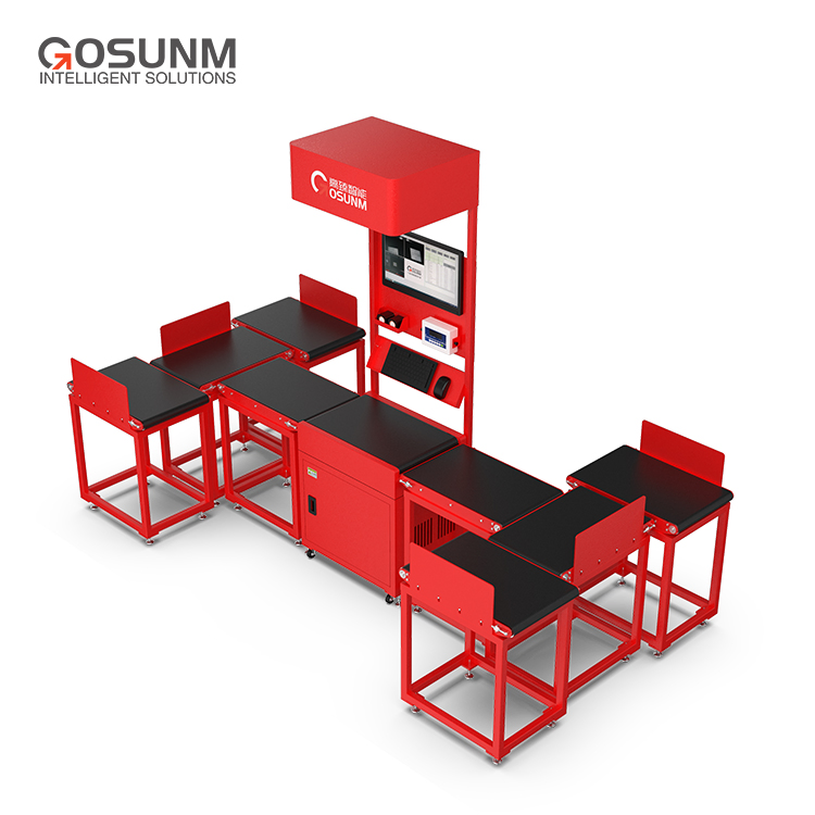 Logistics Automation System for Advanced Dws Sorting and Weighing