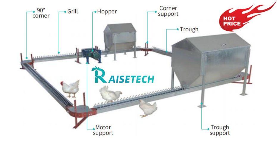 Chain Feeding Technology for Broilers with CE Certification and User Support