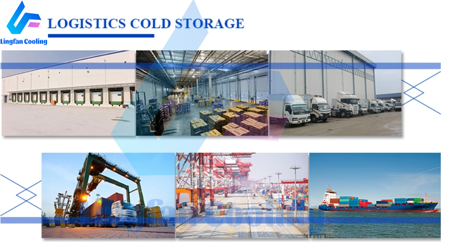 Whole Milk Fresh Fruit Importers Cold Storage Chain Cooler Room Chiller Cold Room Equipment
