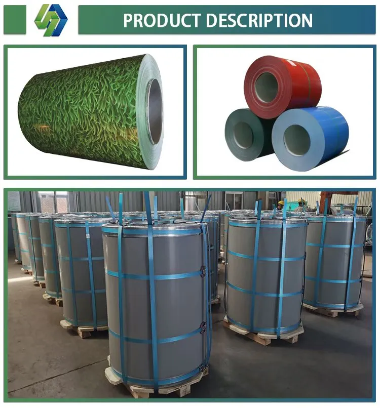 PPGI Steel Coil Detail