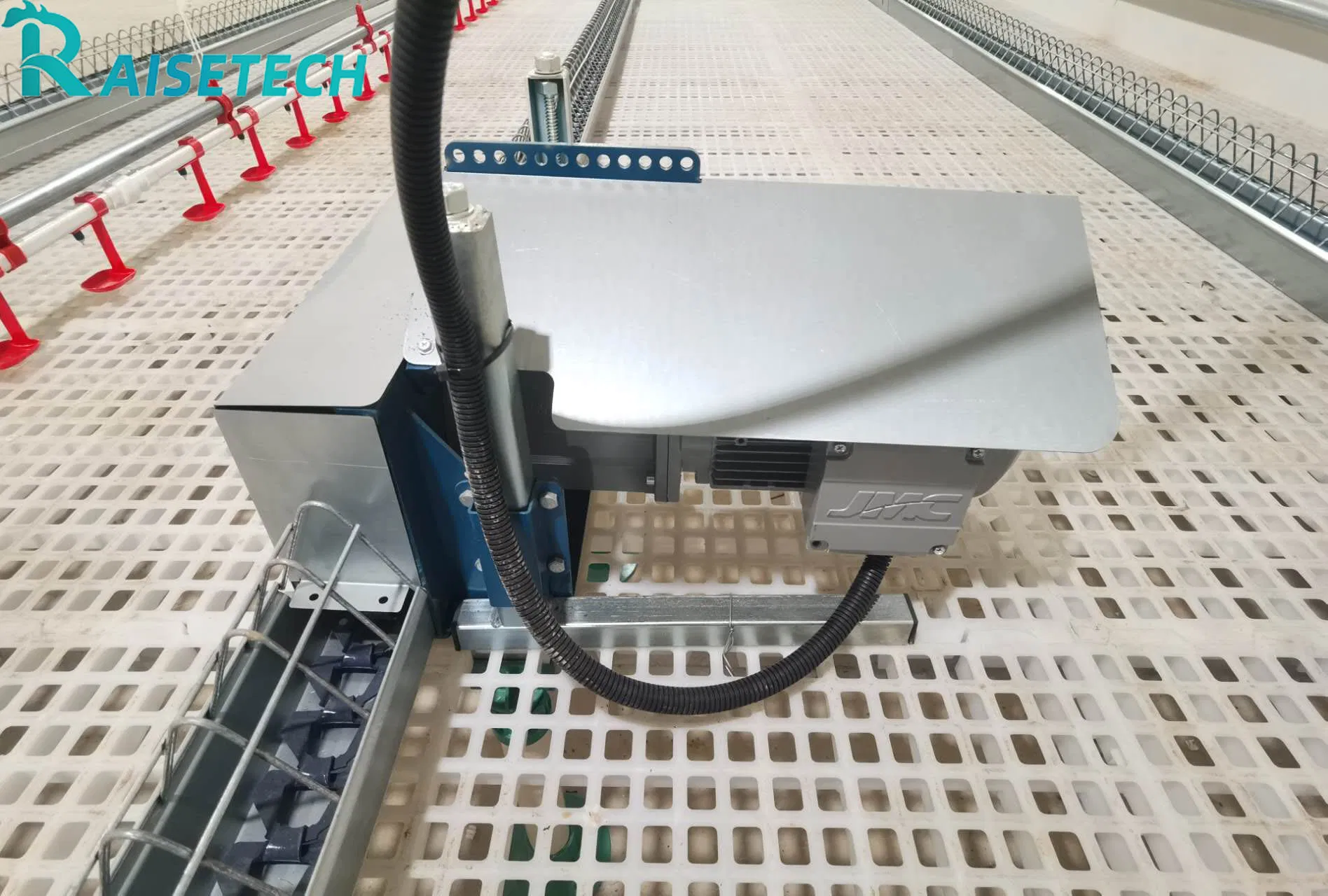 Advanced Chain Feeding for Breeder Chickens - 24 Months After-Sale