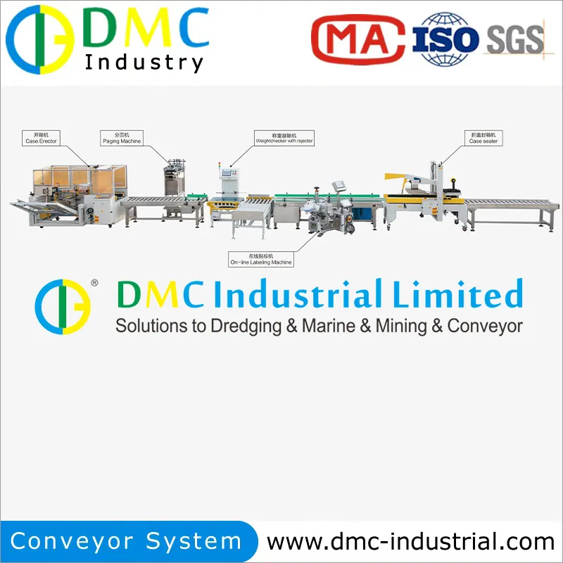 Carton Packing System