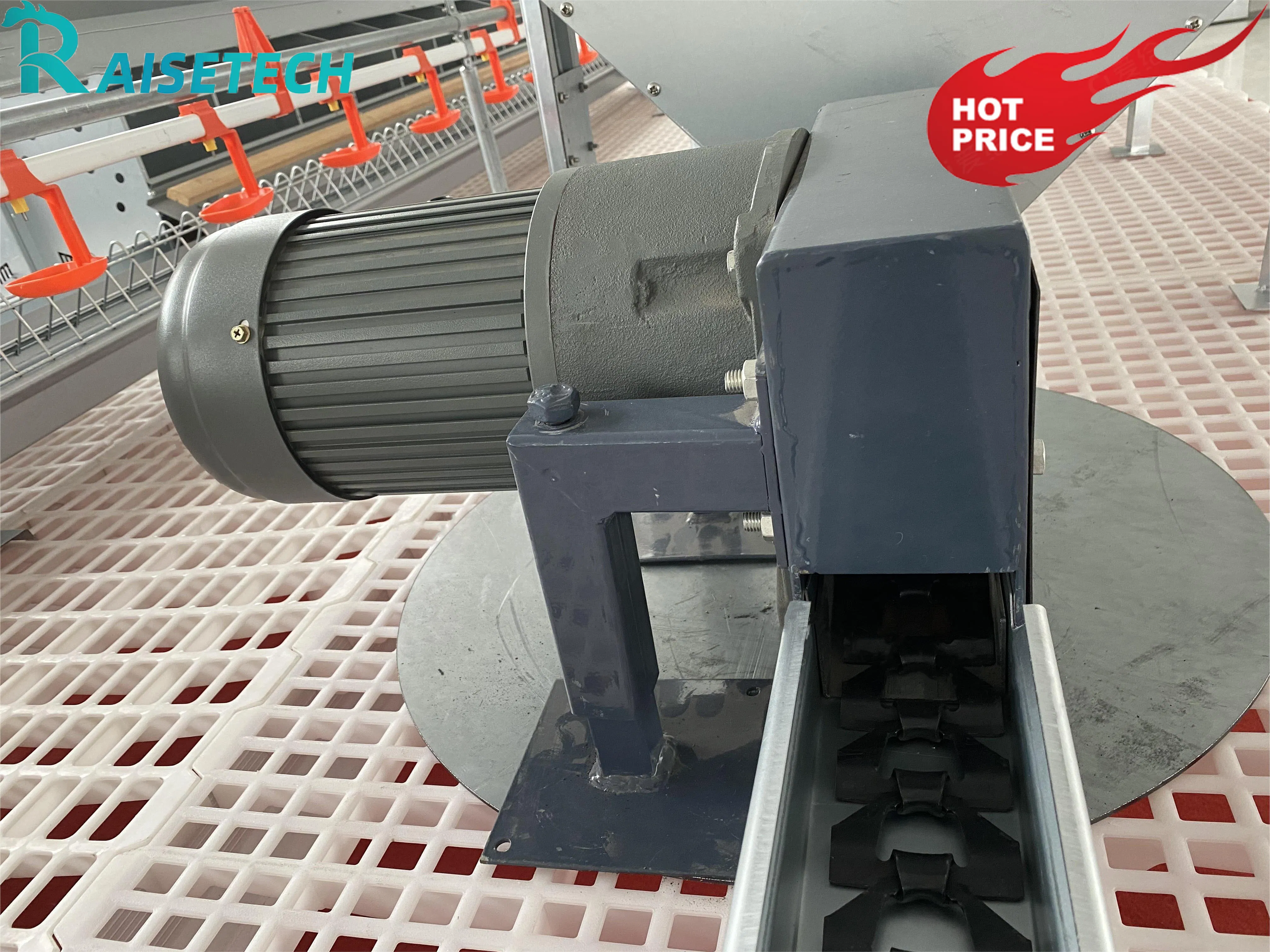 CE Certified Chain Feeding for Chickens with 24-Month After-Sale Support