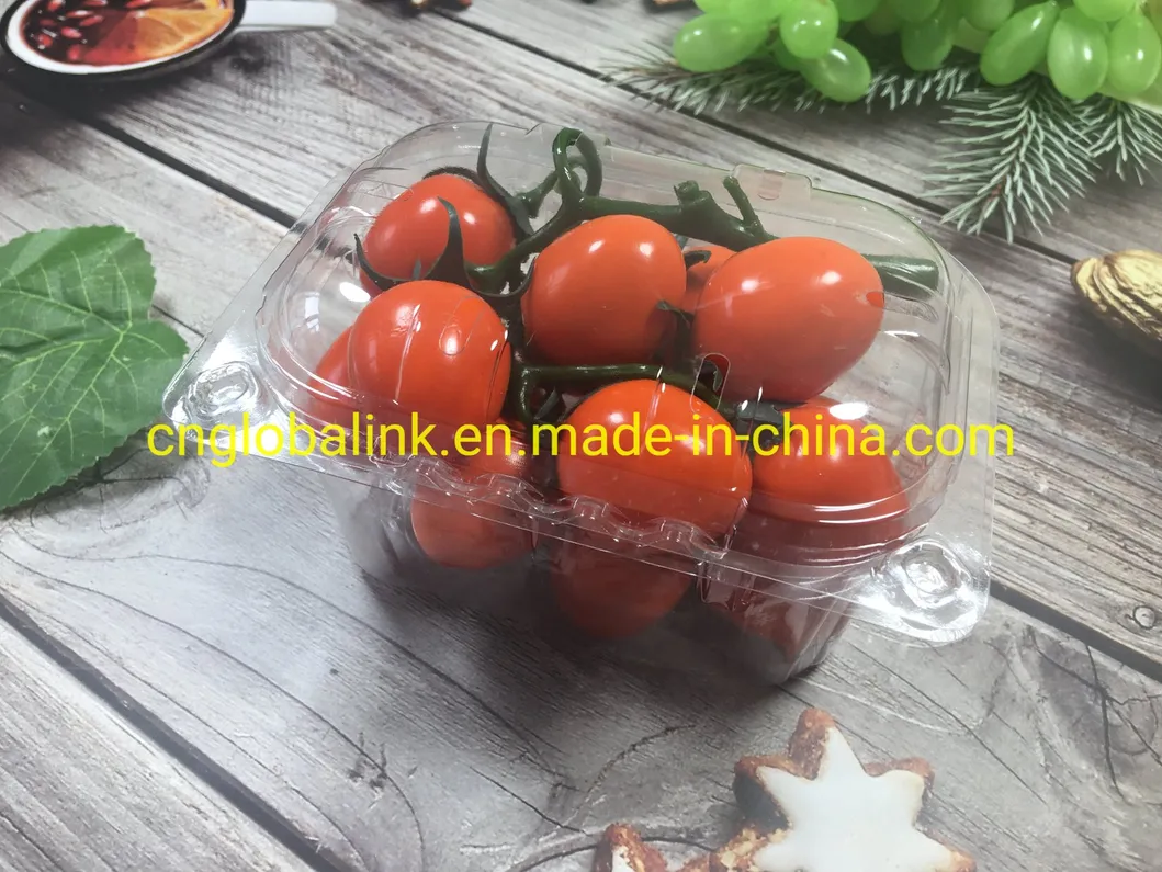 Clear Plastic Tomato Punnets