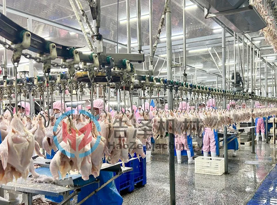 Processing Equipment Detail 2